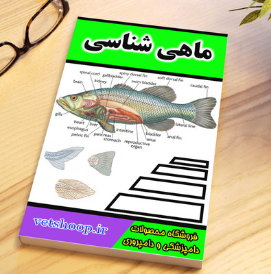 فایل آموزشی ماهی شناسی
