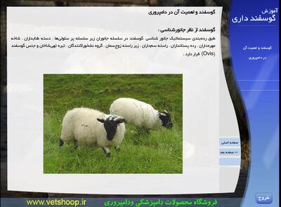 مولتی مدیای آموزش گوسفند داری